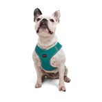 Tailpetz Air-Mesh Küçük ve Orta Irk Kedi Köpek Göğüs Tasması - Yumuşak, Nefes Alabilir, Dayanıklı (Emerald, Large)
