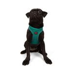 Tailpetz Air-Mesh Küçük ve Orta Irk Kedi Köpek Göğüs Tasması - Yumuşak, Nefes Alabilir, Dayanıklı (Emerald, Medium)