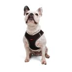 Tailpetz Air-Mesh Küçük ve Orta Irk Kedi Köpek Göğüs Tasması - Yumuşak, Nefes Alabilir, Dayanıklı (Kahverengi, L)