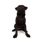 Tailpetz Air-Mesh Küçük ve Orta Irk Kedi Köpek Göğüs Tasması - Yumuşak, Nefes Alabilir, Dayanıklı (Kahverengi, M)