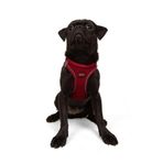 Tailpetz Air-Mesh Küçük ve Orta Irk Kedi Köpek Göğüs Tasması - Yumuşak, Nefes Alabilir, Dayanıklı (Kırmızı, Medium)
