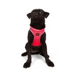 Tailpetz Air-Mesh Küçük ve Orta Irk Kedi Köpek Göğüs Tasması - Yumuşak, Nefes Alabilir, Dayanıklı (Neon-Pembe, Medium)