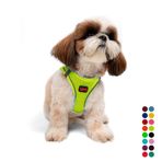 Tailpetz Air-Mesh Küçük ve Orta Irk Kedi Köpek Göğüs Tasması - Yumuşak, Nefes Alabilir, Dayanıklı (Neon-Sarı, Small)
