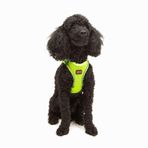 Tailpetz Air-Mesh Küçük ve Orta Irk Kedi Köpek Göğüs Tasması - Yumuşak, Nefes Alabilir, Dayanıklı (Neon-Sarı, XSmall)