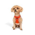 Tailpetz Air-Mesh Küçük ve Orta Irk Kedi Köpek Göğüs Tasması - Yumuşak, Nefes Alabilir, Dayanıklı (Neon-Turuncu, 2XS)