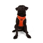 Tailpetz Air-Mesh Küçük ve Orta Irk Kedi Köpek Göğüs Tasması - Yumuşak, Nefes Alabilir, Dayanıklı (Neon-Turuncu, Medium)