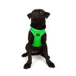 Tailpetz Air-Mesh Küçük ve Orta Irk Kedi Köpek Göğüs Tasması - Yumuşak, Nefes Alabilir, Dayanıklı (Neon-Yeşil, Medium)