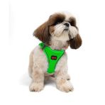 Tailpetz Air-Mesh Küçük ve Orta Irk Kedi Köpek Göğüs Tasması - Yumuşak, Nefes Alabilir, Dayanıklı (Neon-Yeşil, Small)