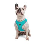 Tailpetz Air-Mesh Küçük ve Orta Irk Kedi Köpek Göğüs Tasması - Yumuşak, Nefes Alabilir, Dayanıklı (Ocean, Large)