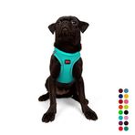 Tailpetz Air-Mesh Küçük ve Orta Irk Kedi Köpek Göğüs Tasması - Yumuşak, Nefes Alabilir, Dayanıklı (Ocean, Medium)