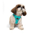 Tailpetz Air-Mesh Küçük ve Orta Irk Kedi Köpek Göğüs Tasması - Yumuşak, Nefes Alabilir, Dayanıklı (Ocean, Small)