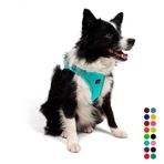 Tailpetz Air-Mesh Küçük ve Orta Irk Kedi Köpek Göğüs Tasması - Yumuşak, Nefes Alabilir, Dayanıklı (Ocean, XLarge)