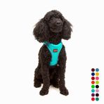 Tailpetz Air-Mesh Küçük ve Orta Irk Kedi Köpek Göğüs Tasması - Yumuşak, Nefes Alabilir, Dayanıklı (Ocean, XSmall)