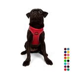 Tailpetz Air-Mesh Küçük ve Orta Irk Kedi Köpek Göğüs Tasması - Yumuşak, Nefes Alabilir, Dayanıklı (Parlak Kırmızı, M)