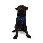 Tailpetz Air-Mesh Küçük ve Orta Irk Kedi Köpek Göğüs Tasması - Yumuşak, Nefes Alabilir, Dayanıklı (Saks, Medium)