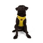 Tailpetz Air-Mesh Küçük ve Orta Irk Kedi Köpek Göğüs Tasması - Yumuşak, Nefes Alabilir, Dayanıklı (Sarı, M)
