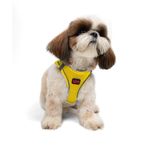 Tailpetz Air-Mesh Küçük ve Orta Irk Kedi Köpek Göğüs Tasması - Yumuşak, Nefes Alabilir, Dayanıklı (Sarı, S)
