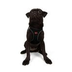 Tailpetz Air-Mesh Küçük ve Orta Irk Kedi Köpek Göğüs Tasması - Yumuşak, Nefes Alabilir, Dayanıklı (Siyah, Medium)