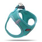 Tailpetz Air Mesh Zümrüt Yeşil XXS Köpek Göğüs Tasma