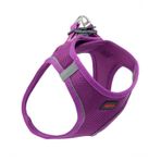 Tailpetz Airmesh Mor Göğüs Tasması