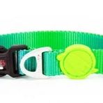 Tailpetz Amazon Collar M Köpek Boyun Tasması