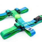 Tailpetz Amazon H-Harness Küçük Irk Köpek Göğüs Tasması Small