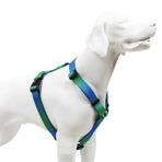 Tailpetz Amazon H-Tipi S Köpek Göğüs Tasması