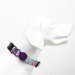 Tailpetz Ayarlanabilir Dayanıklı ve Konforlu Desenli Köpek Boyun Tasması (LARGE, BUBBLES)