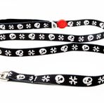 Tailpetz Boo Leash 2x140 cm Köpek Sevk Kayışı