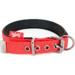 Tailpetz Comfy Collar Köpek Boyun Tasması Kırmızı Small - Turuncu