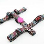 Tailpetz Graffiti H Harness S Köpek Göğüs Tasması