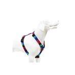 Tailpetz H-Tipi Göğüs Tasması Ayarlanabilir, Konforlu ve Dayanıklı Desenli Köpek Tasması (LARGE, WAVE)