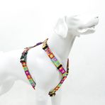 Tailpetz H-Tipi Göğüs Tasması Ayarlanabilir, Konforlu ve Dayanıklı Desenli Köpek Tasması (MEDIUM, ALLIENS)