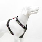 Tailpetz H-Tipi Göğüs Tasması Ayarlanabilir, Konforlu ve Dayanıklı Desenli Köpek Tasması (SMALL, SPACE)