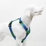 Tailpetz H-Tipi Göğüs Tasması Ayarlanabilir, Konforlu ve Dayanıklı Desenli Köpek Tasması (XSMALL, AMAZON)
