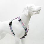 Tailpetz H-Tipi Göğüs Tasması Ayarlanabilir, Konforlu ve Dayanıklı Desenli Köpek Tasması (XSMALL, BUBBLES)