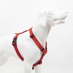 Tailpetz H-Tipi Göğüs Tasması Ayarlanabilir, Konforlu ve Dayanıklı Desenli Köpek Tasması (XSMALL, PRISM)