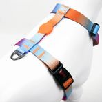 Tailpetz H-Tipi Köpek Göğüs Tasması (Pass)