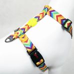 Tailpetz H-Tipi Köpek Göğüs Tasması (Rainbow)