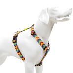 Tailpetz H-Tipi S Gökkuşağı Köpek Göğüs Tasması