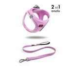 Tailpetz Kedi Köpek Air-Mesh Göğüs Tasması ve Gezdirme Sevk Kayışı Seti 2Sİ1 ARADA Lila