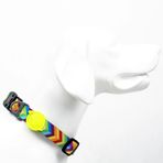 Tailpetz Köpek Boyun Tasması (Rainbow)