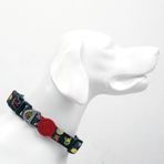 Tailpetz Köpek Boyun Tasması (Space)