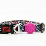 Tailpetz Medium Graffiti Boyun Tasması