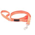 Tailpetz Neo Turuncu Medium Leash Köpek Gezdirme Tasması
