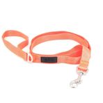 Tailpetz Neon Turuncu Köpek Gezdirme Kayışı