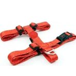 Tailpetz Prism H Harness S Köpek Göğüs Tasması