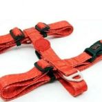 Tailpetz Prism H Harness XS Köpek Göğüs Tasması