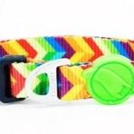 Tailpetz Rainbow Collar L Köpek Boyun Tasması