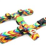 Tailpetz Rainbow H Harness L Köpek Göğüs Tasması
